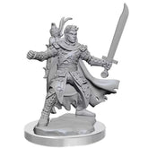 Mezzelfo Ranger Maschio - Miniatura D&D Frameworks W02A